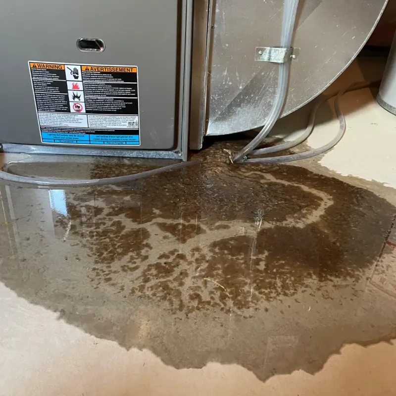 Appliance Leak Cleanup in Abram, TX